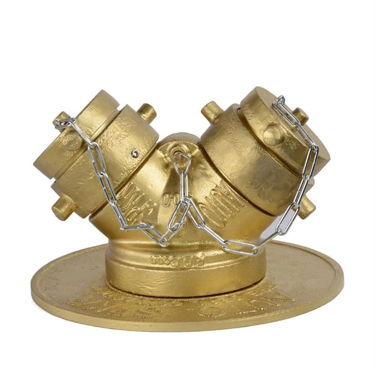 Iron Siamese Connection Clapper Valve