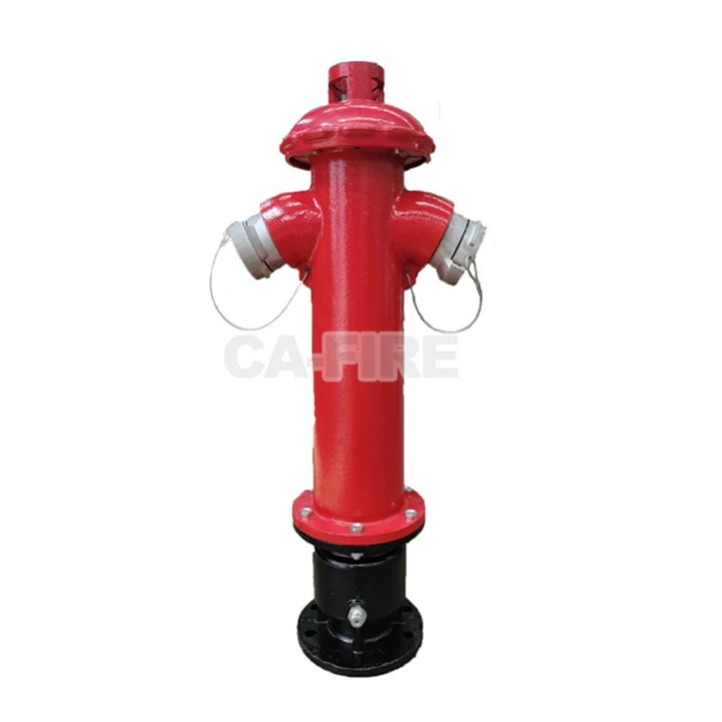 product-800-800