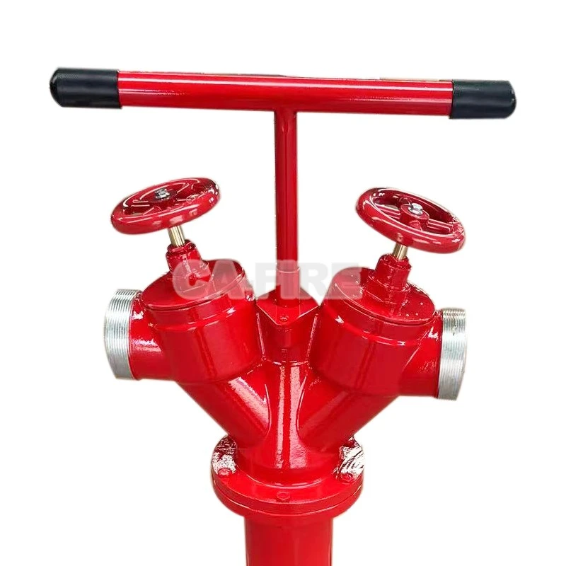 product-800-800